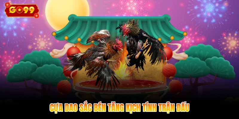 Cựa dao sắc bén tăng kịch tính trận đấu