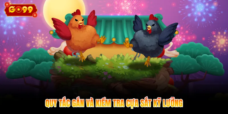 Quy tắc gắn và kiểm tra cựa sắt kỹ lưỡng