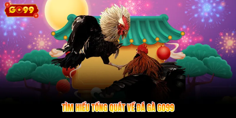 Tìm hiểu tổng quát về đá gà GO99