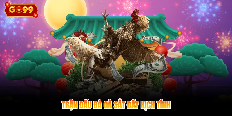 Trận đấu đá gà sắt đầy kịch tính